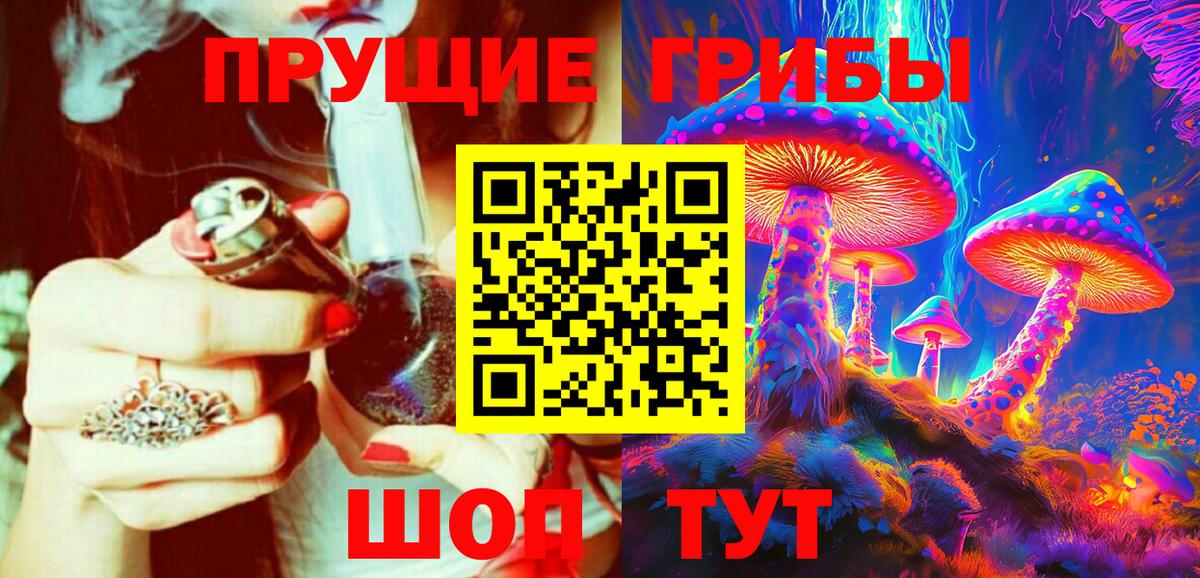 Галлюциногенные грибы Psilocybe Дубна