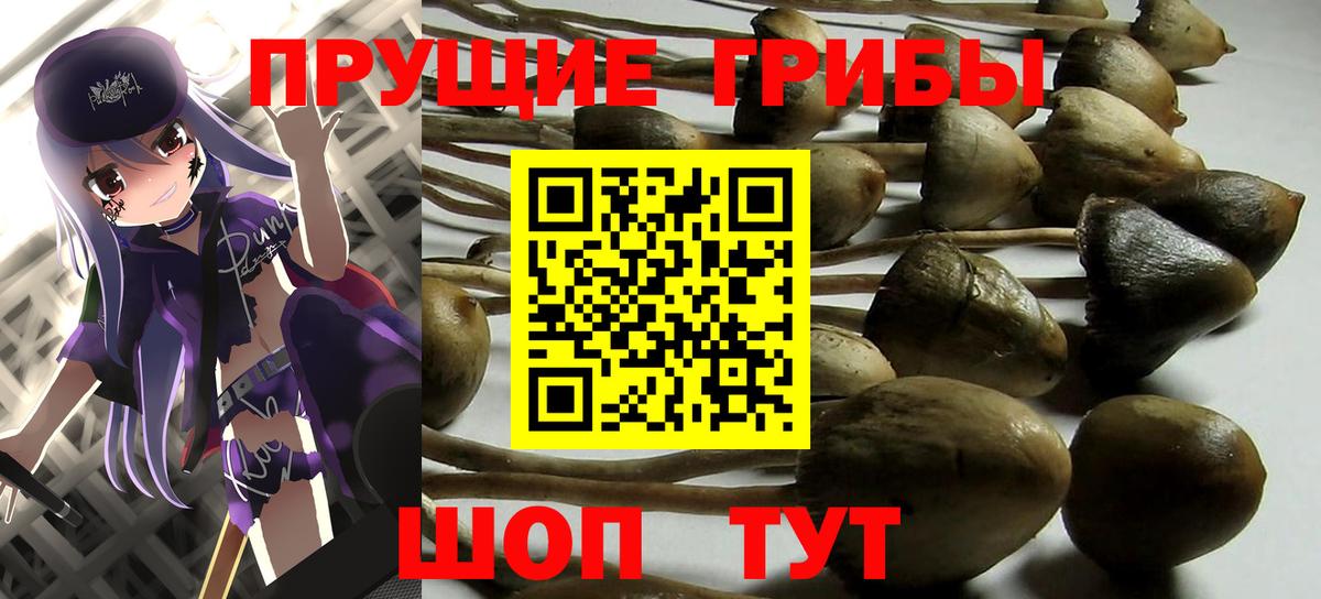 Дубна  Галлюциногенные грибы прущие грибы  Вход с VPN 